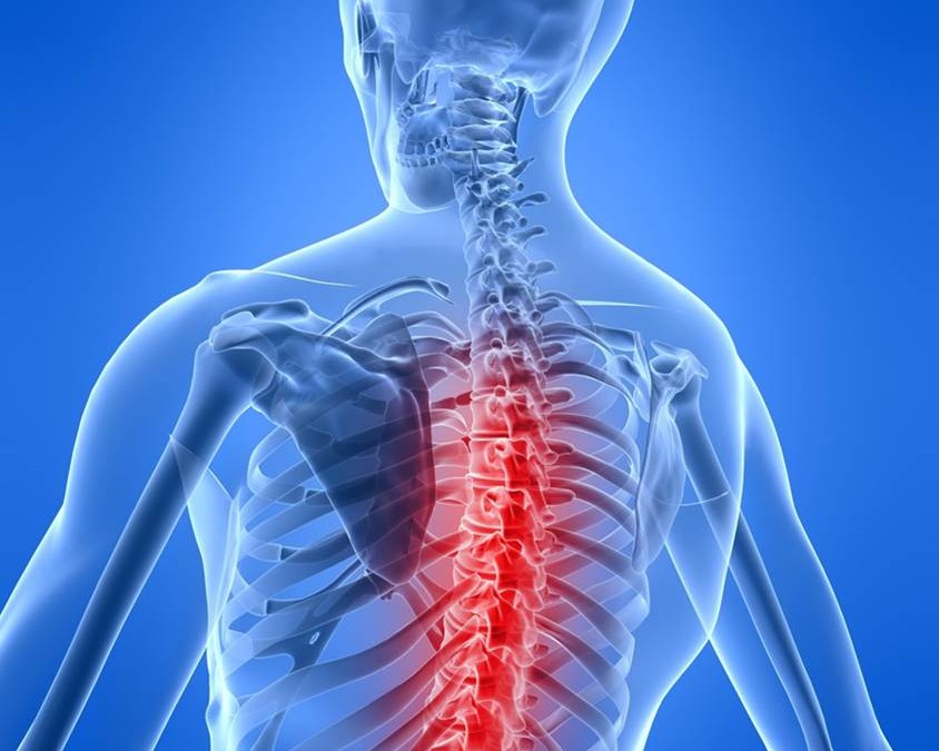 What Chiropractic Care Really Means